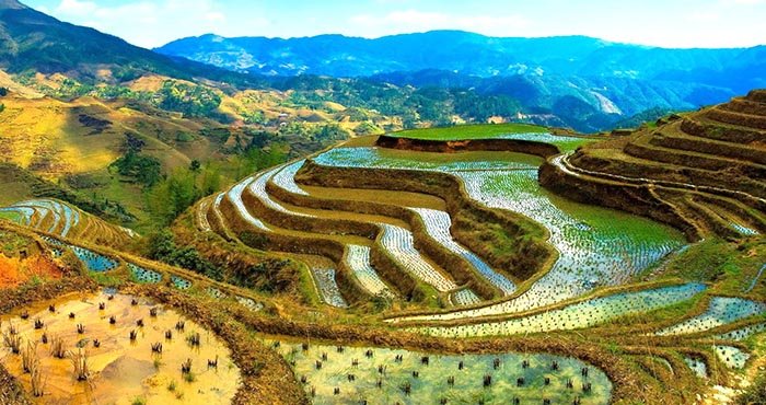 Banaue rizs teraszok