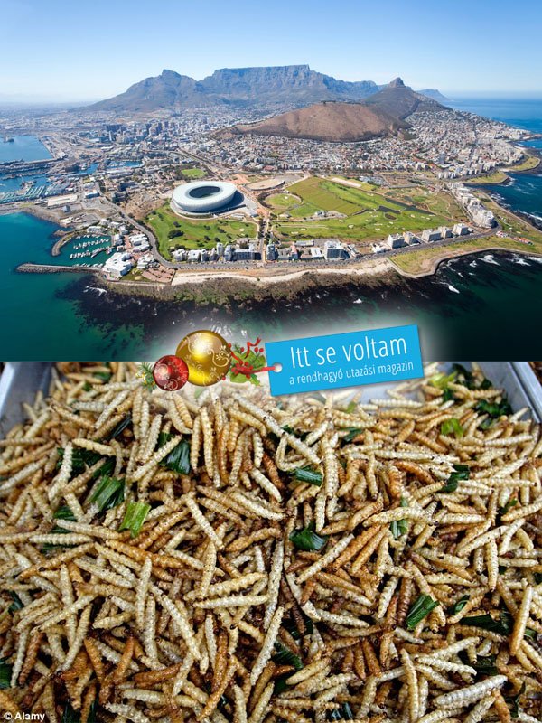 Legfurcsább karácsonyi szokások a világon - Dél Afrika