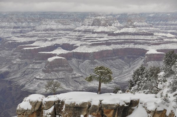grand-canyon-winter-9