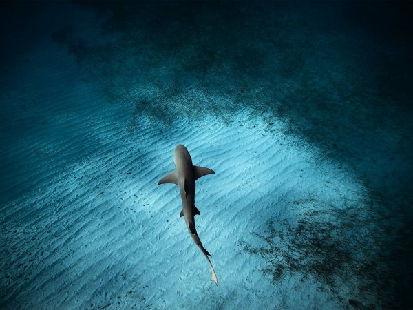 tavasz-10-legszebb-uticelja-3