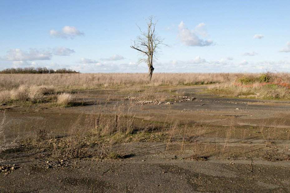 Halott föld - sok helyen mind a mai napig nem nő ki semmi